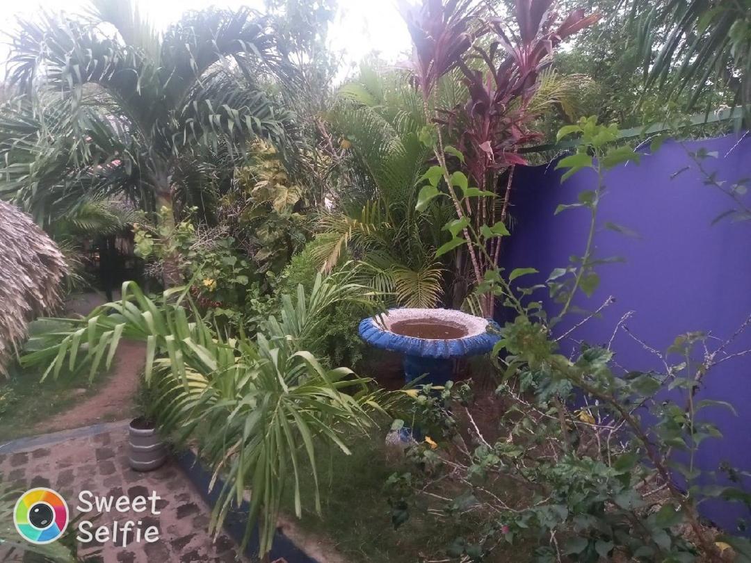 La Cascada Hostel & Restaurant Rivas Εξωτερικό φωτογραφία