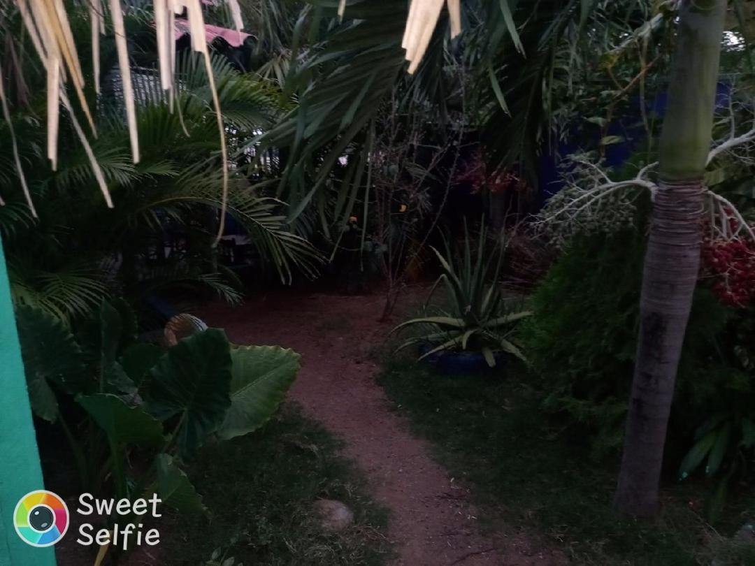 La Cascada Hostel & Restaurant Rivas Εξωτερικό φωτογραφία